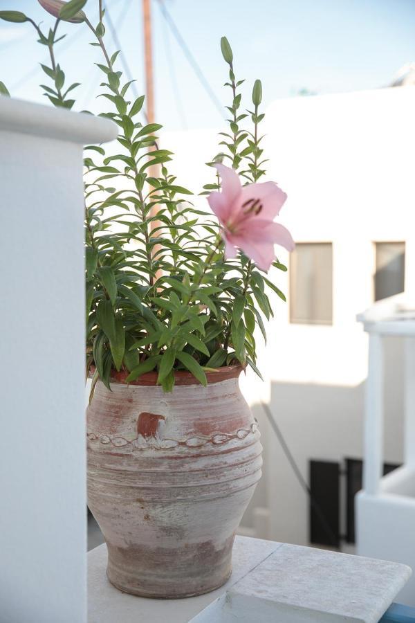 Green Loft Room In Naxos Chora Naxos City Esterno foto
